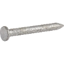 TPS 1-1/2 inch Joist Hanger Nail